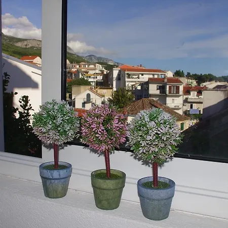 Apartment Lux *